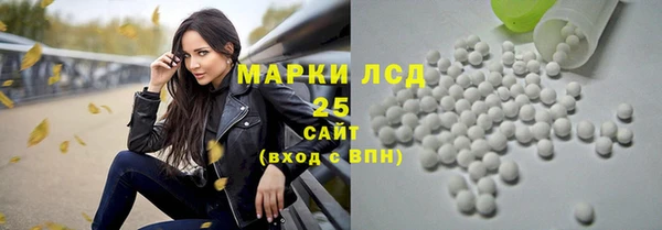 ГАЛЛЮЦИНОГЕННЫЕ ГРИБЫ Тихвин