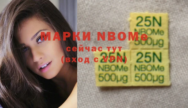 Альфа ПВП Горняк