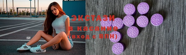 Альфа ПВП Горняк
