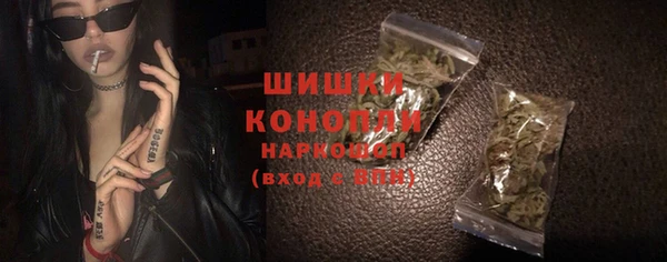 Альфа ПВП Горняк
